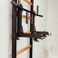 BenchK 231 wall bars