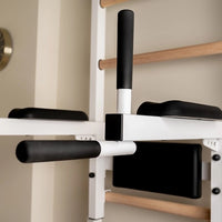 BenchK 233 wall bars