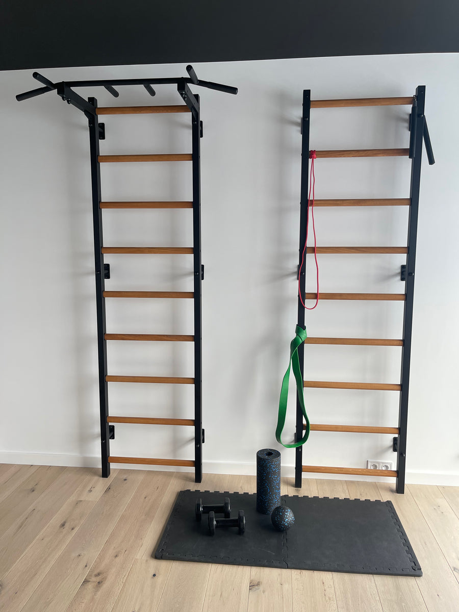Stall Bar for Physical Therapy and Rehabilitation – BenchK 721