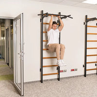 BenchK 221 Wallbars