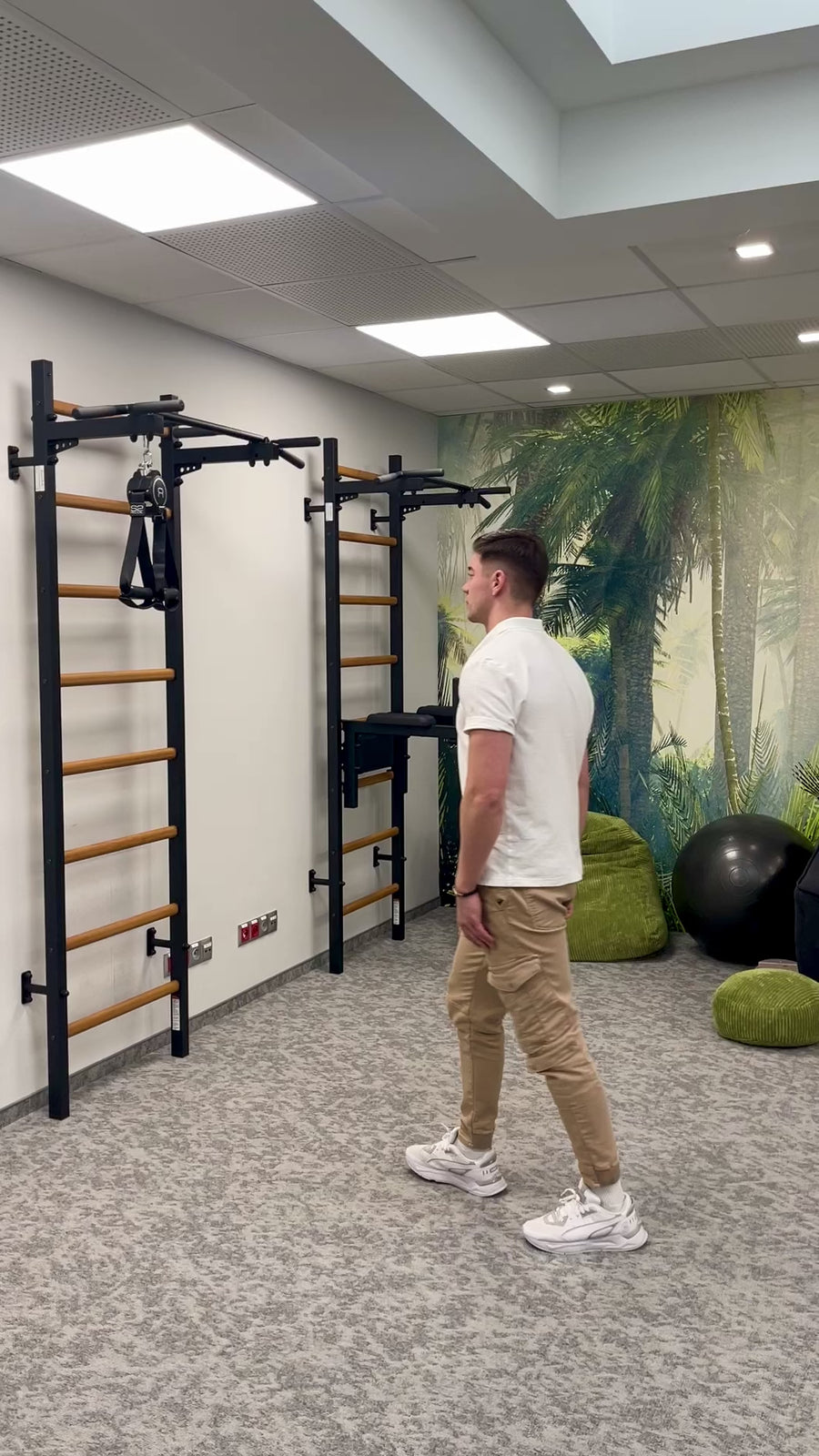 BenchK 221 Wallbars