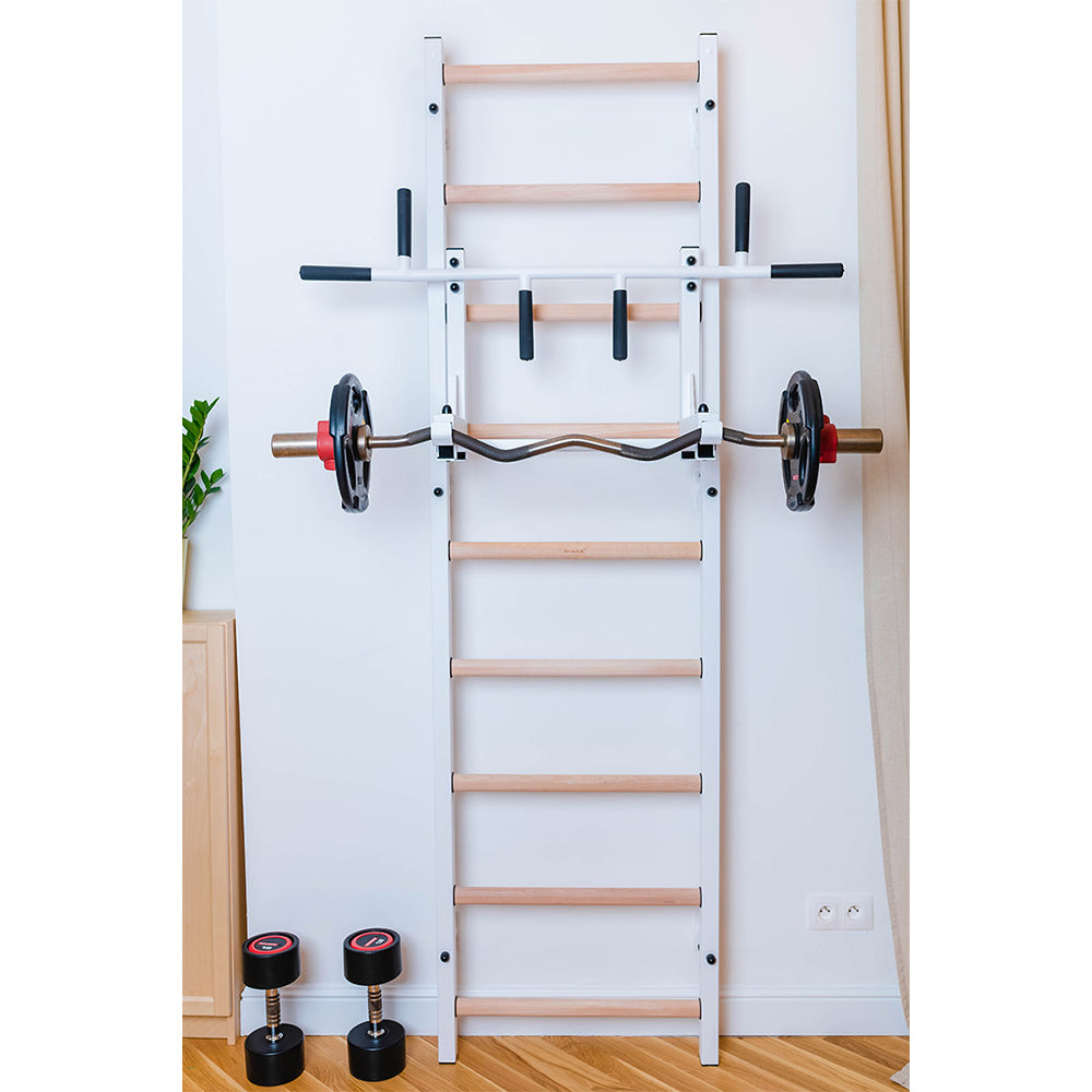 Using barbell as discount pull up bar