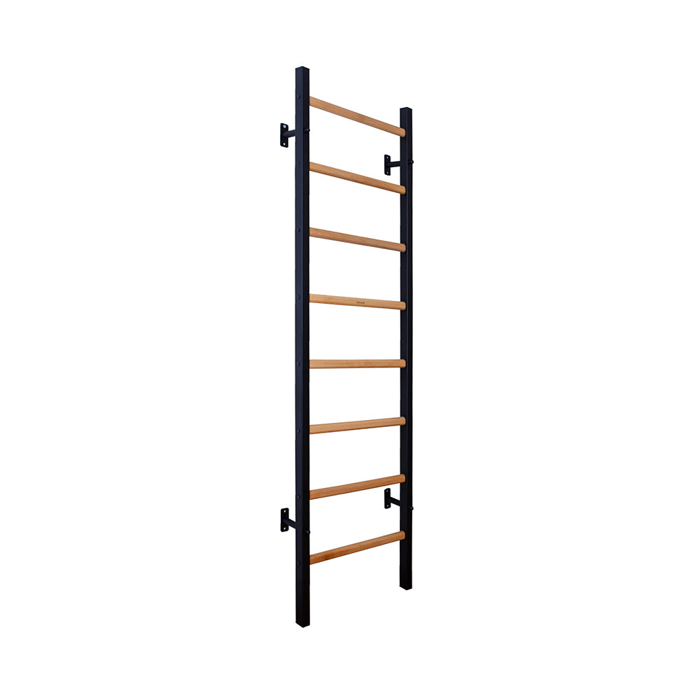 BenchK 232 wall bars