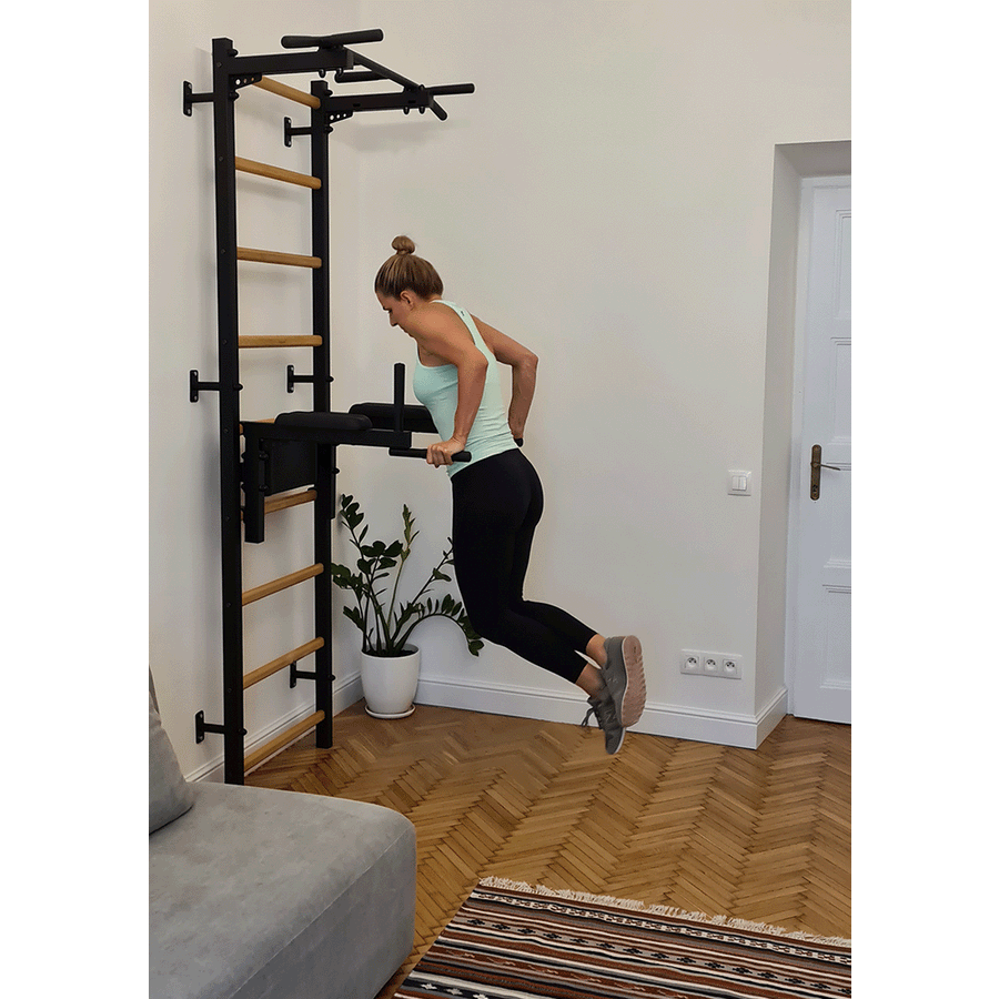 Gymnastic ladder for home gym or fitness room – BenchK 723